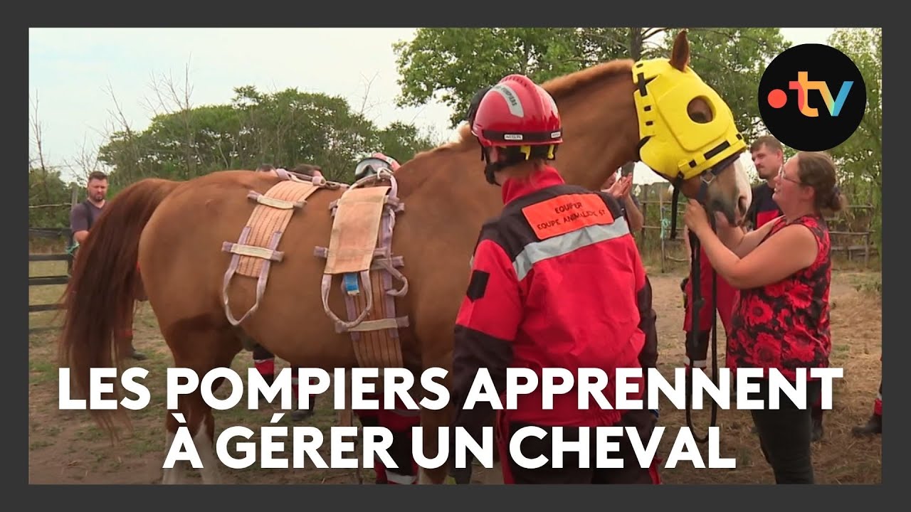 Miniature du reportage