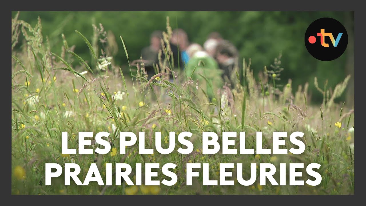 Miniature du reportage