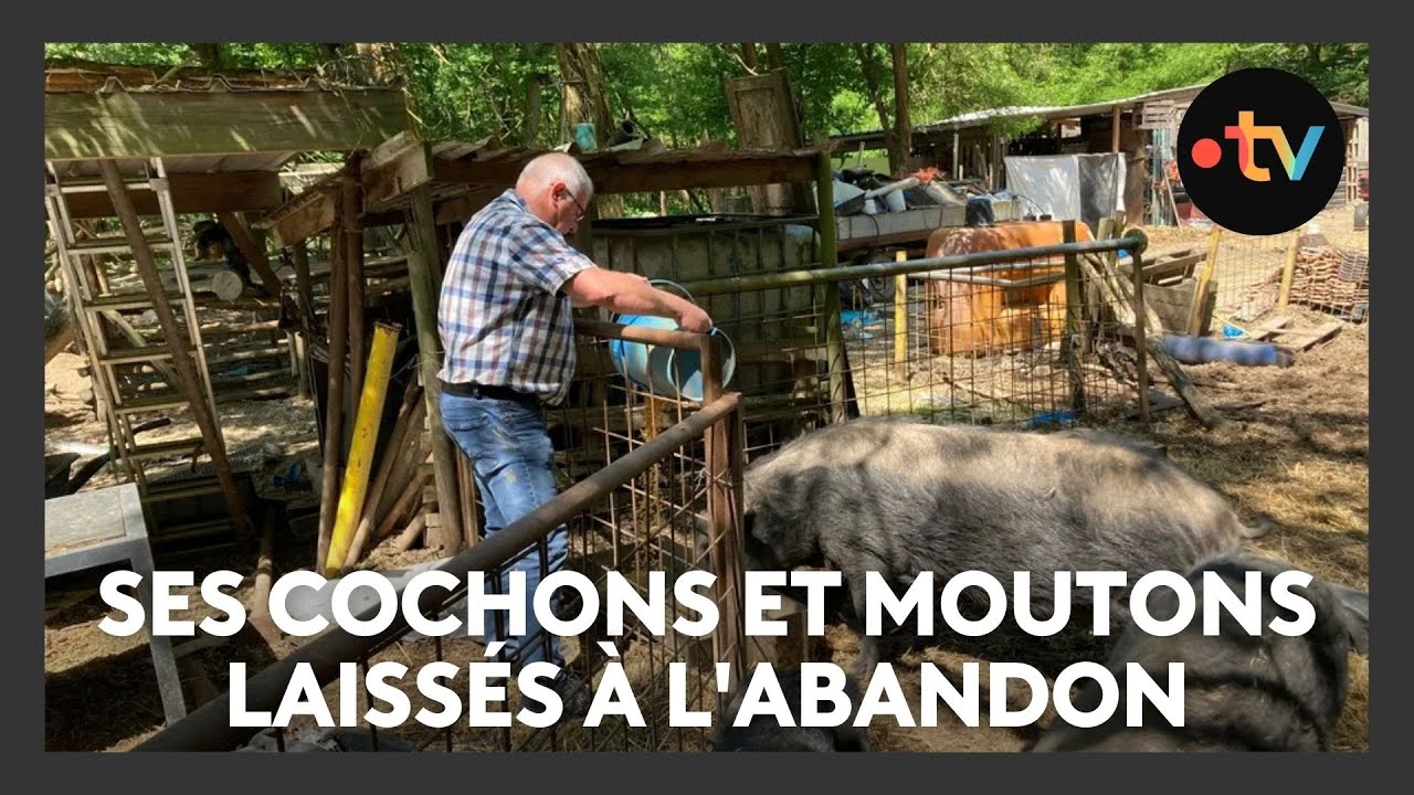 Miniature du reportage