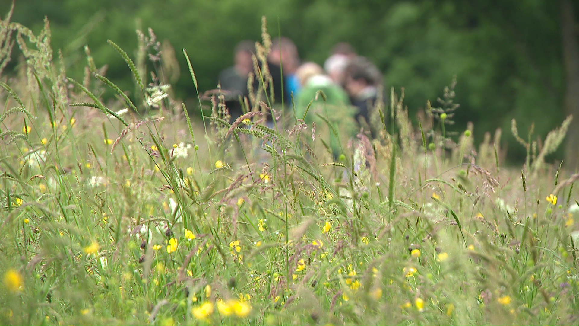 Miniature du reportage